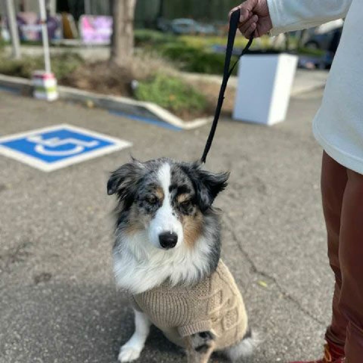 【KILONAINER キロナイナー】ビッグドッグショートリーシュ BIG DOG SHORT LEASH
