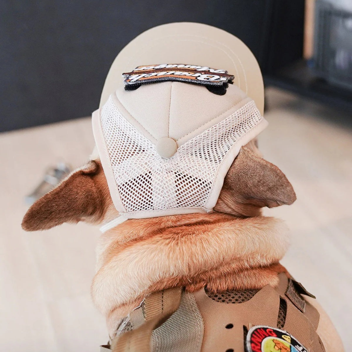 【KILONAINER キロナイナー】カスタムファンキャップ Custom Fun Cap XS〜 Sサイズ