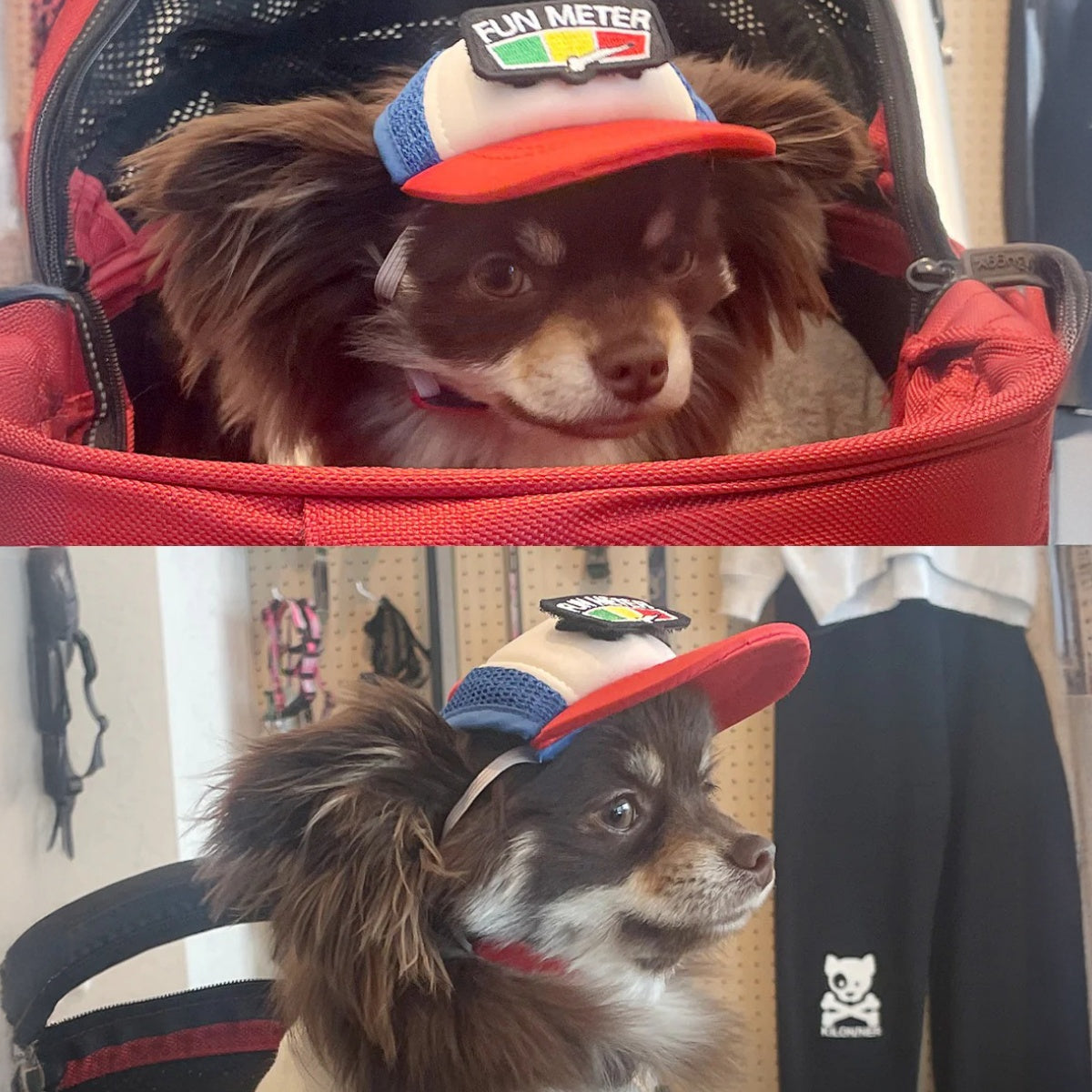 【KILONAINER キロナイナー】カスタムファンキャップ Custom Fun Cap XS〜 Sサイズ