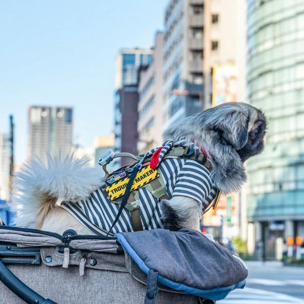 【KILONAINER キロナイナー】M5 ハーネス M5 Light Vest XXXSL〜 XXSLサイズ