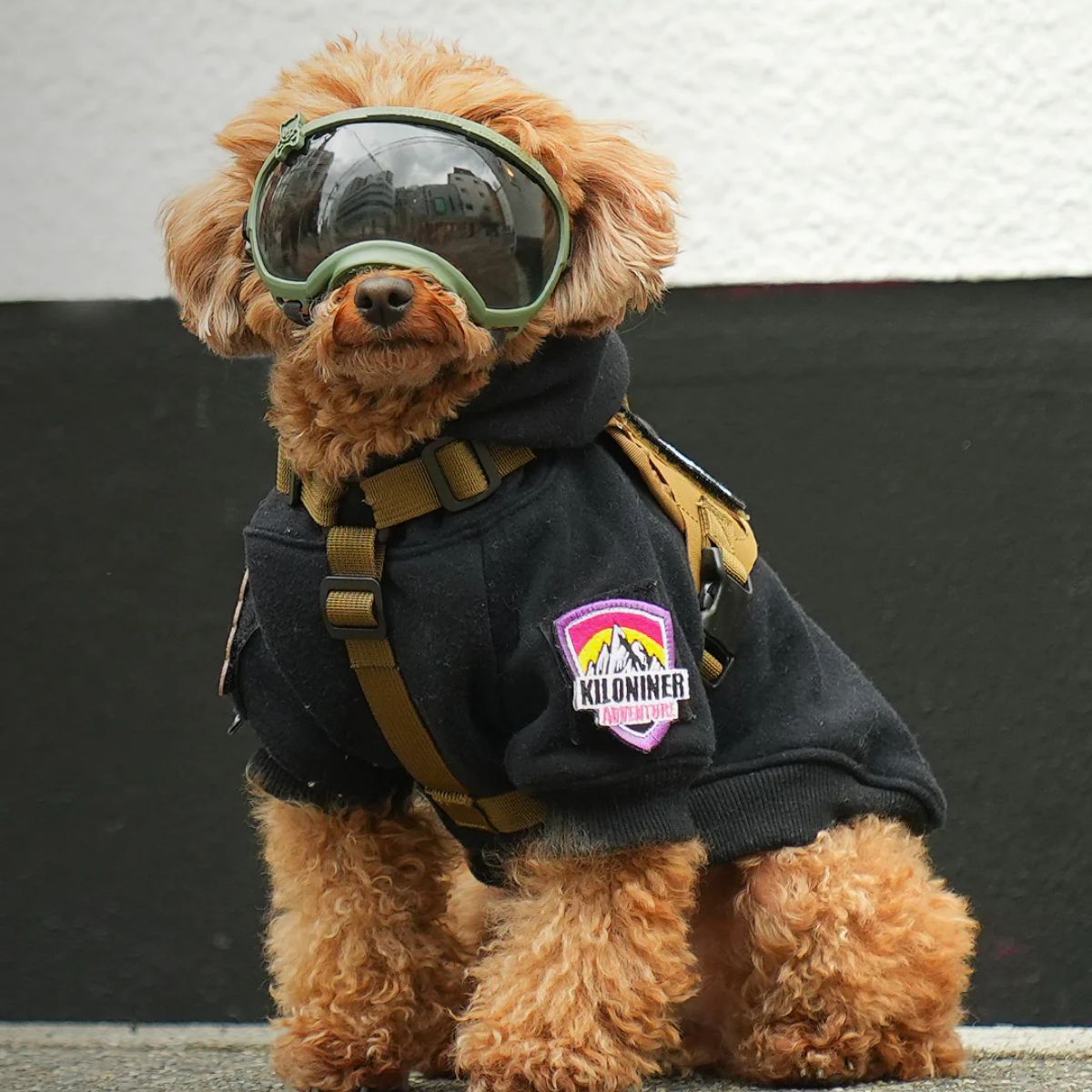 【KILONAINER キロナイナー】シグネチャーゴーグル Signature Goggles
