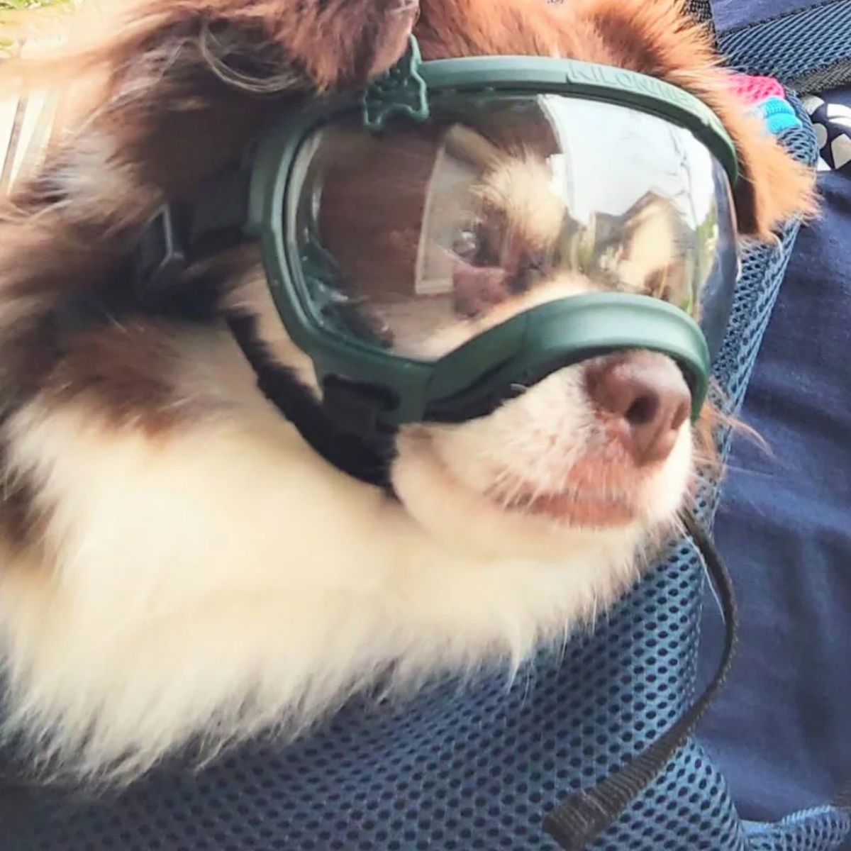 【KILONAINER キロナイナー】シグネチャーゴーグル Signature Goggles
