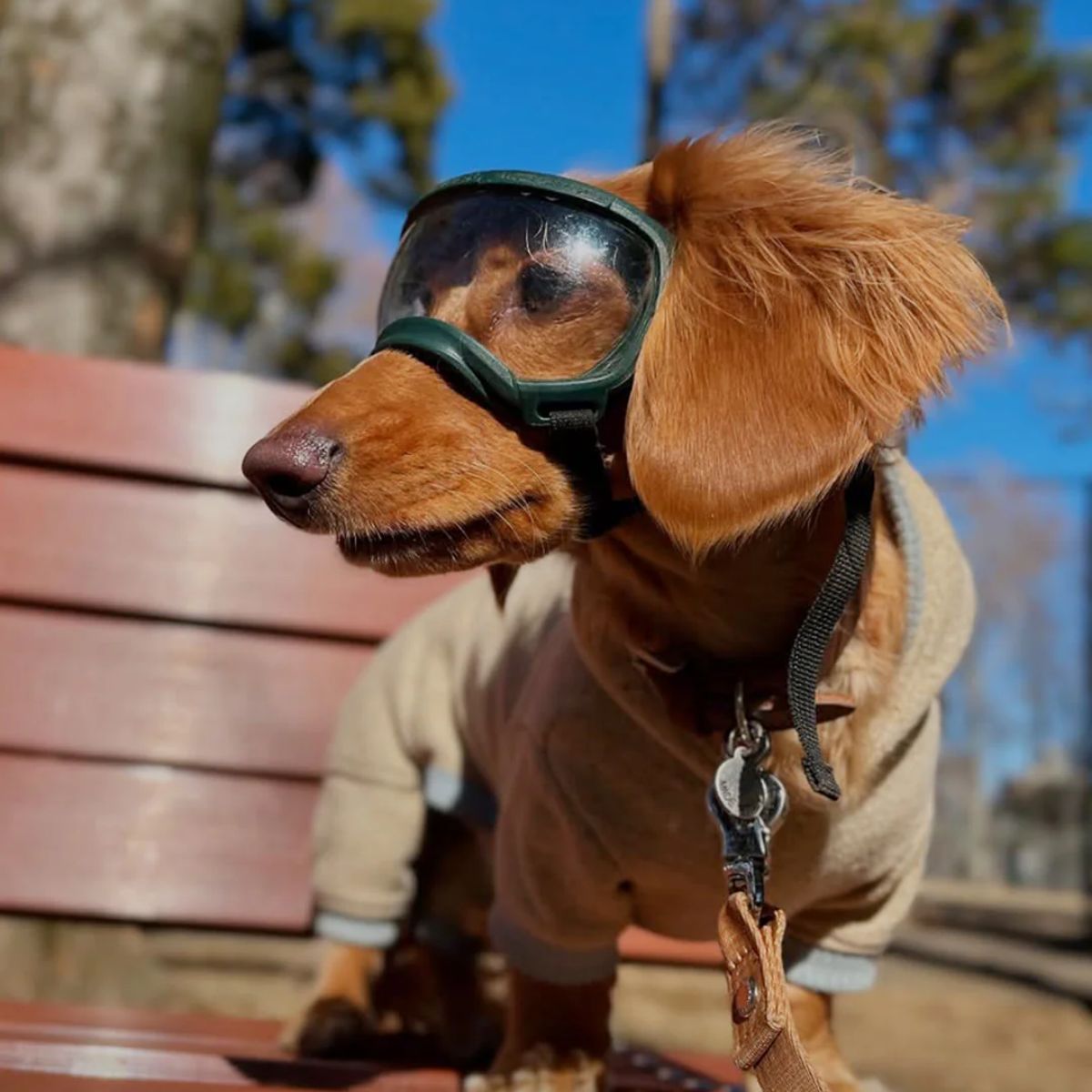【KILONAINER キロナイナー】シグネチャーゴーグル Signature Goggles