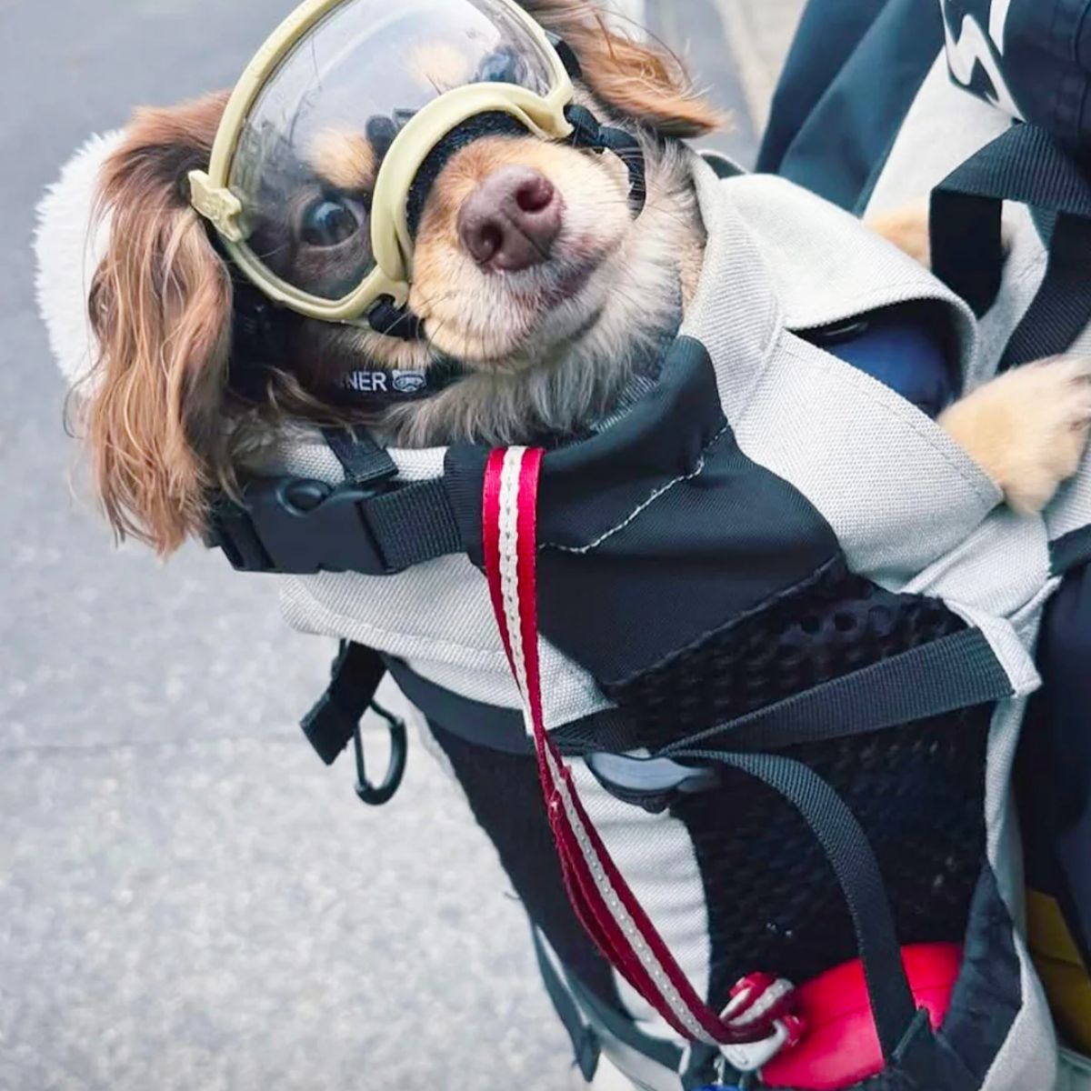 【KILONAINER キロナイナー】シグネチャーゴーグル Signature Goggles