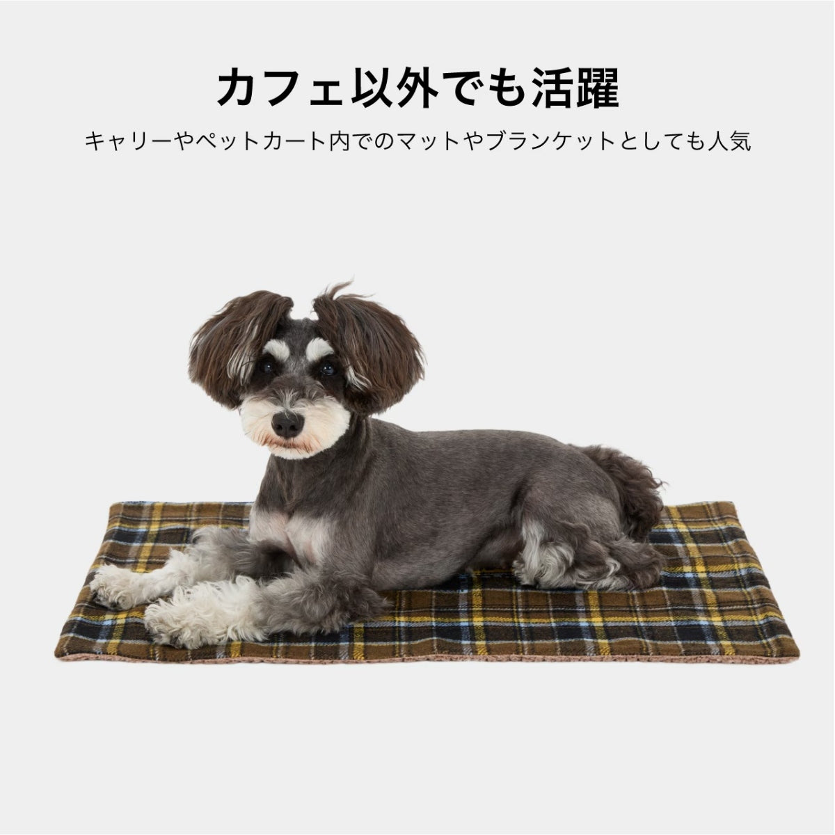 【MANDARINE BROTHERS マンダリンブラザーズ】 ボアカフェマット Boa Cafe Mat