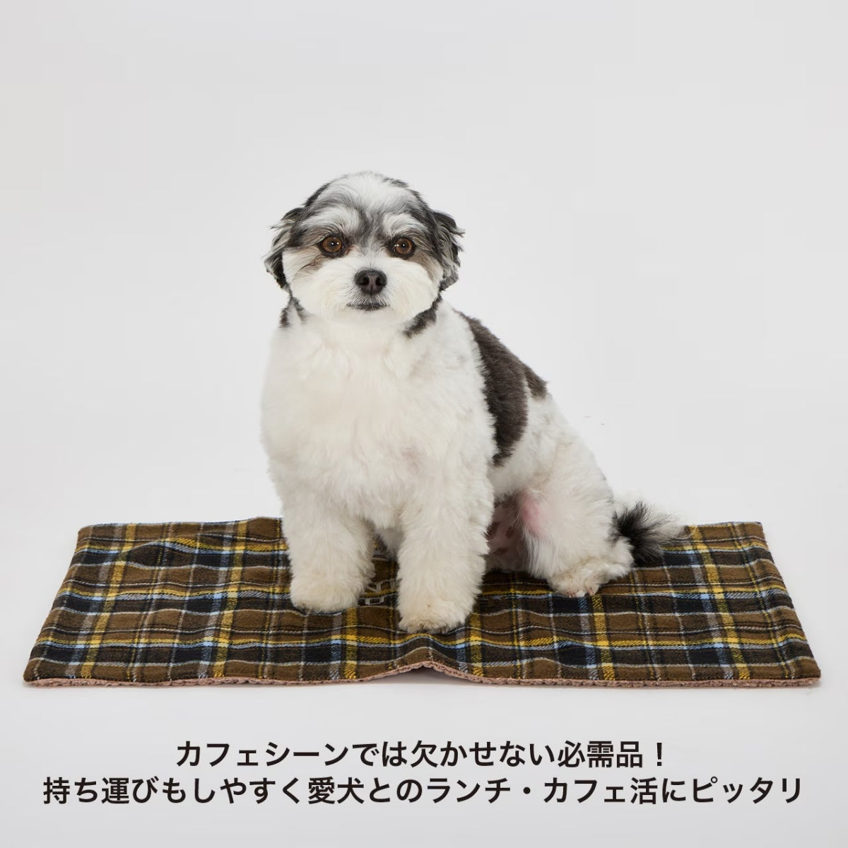 【MANDARINE BROTHERS マンダリンブラザーズ】 ボアカフェマット Boa Cafe Mat