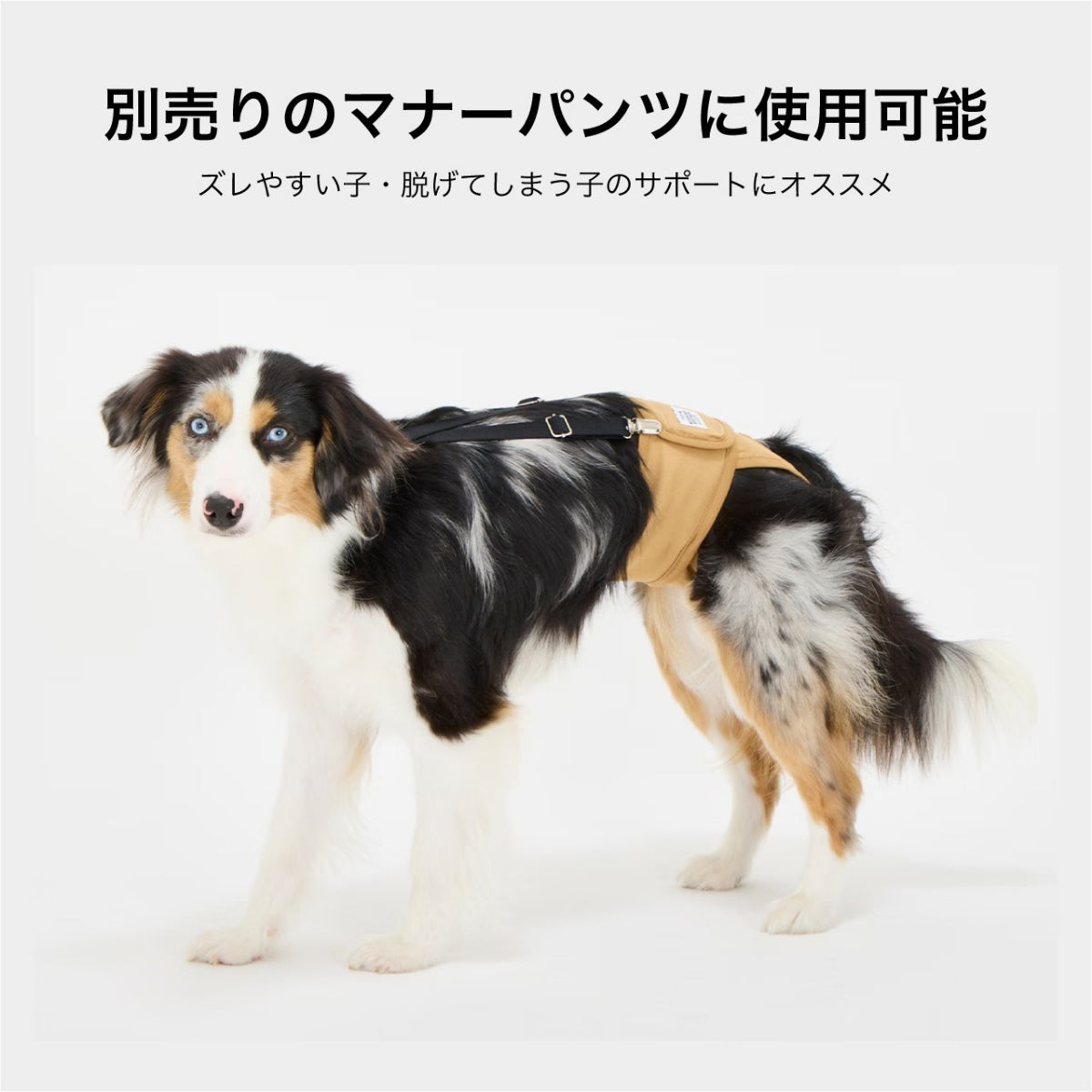 【MANDARINE BROTHERS マンダリンブラザーズ】MBサスペンダー MB Suspender