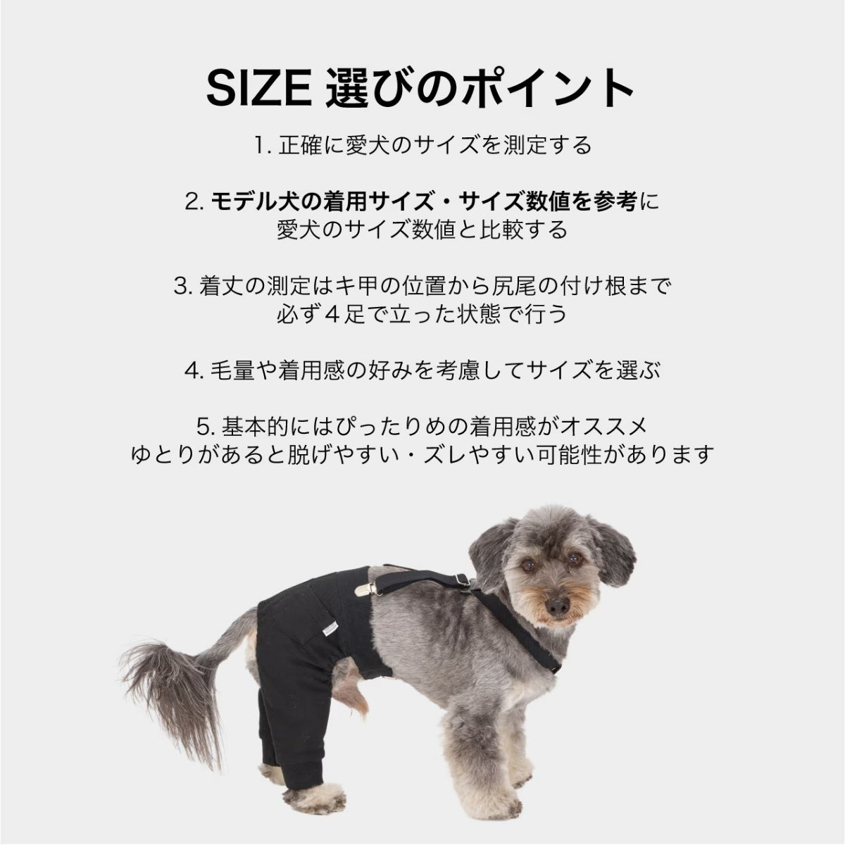 【MANDARINE BROTHERS マンダリンブラザーズ】MBサスペンダー MB Suspender