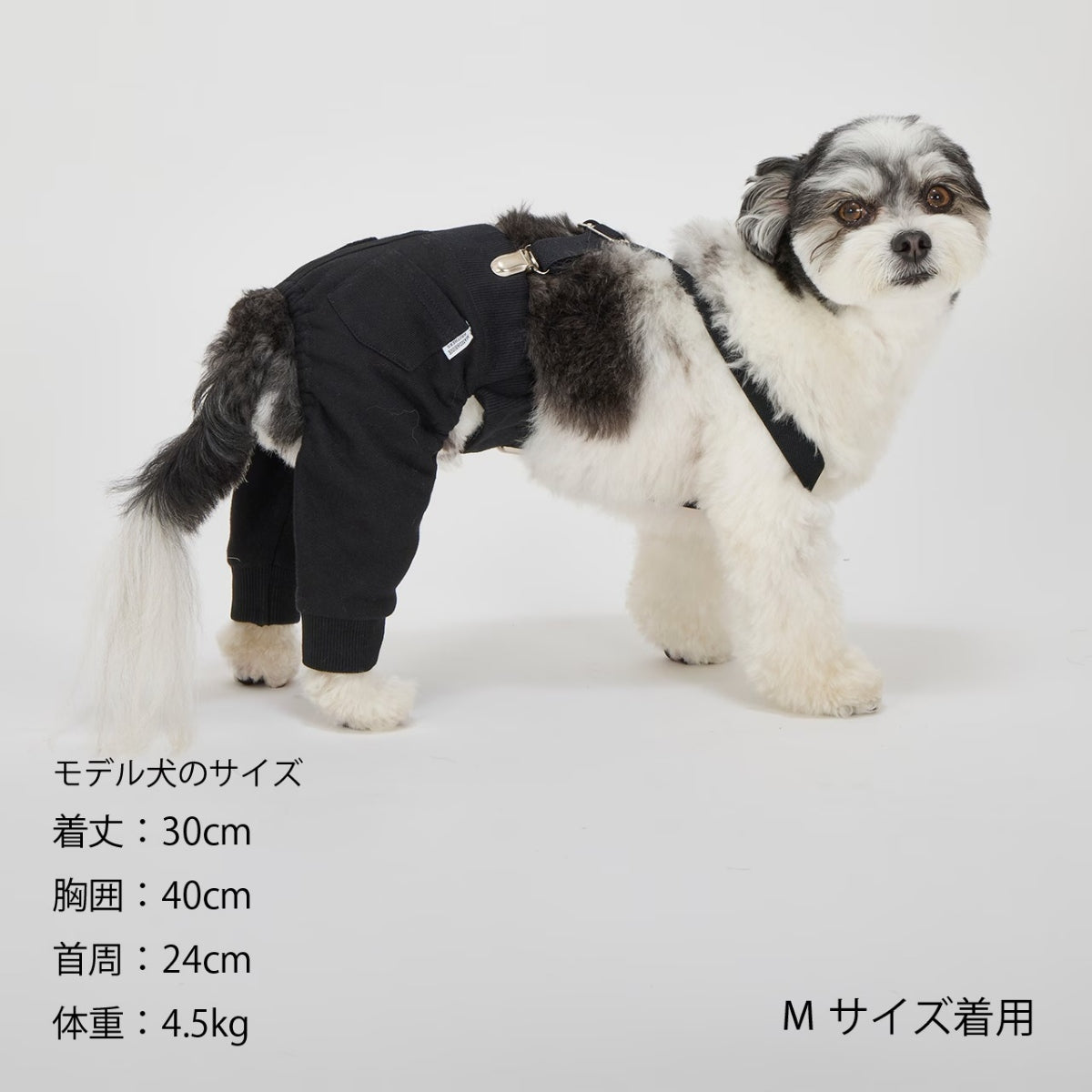 【MANDARINE BROTHERS マンダリンブラザーズ】MBサスペンダー MB Suspender