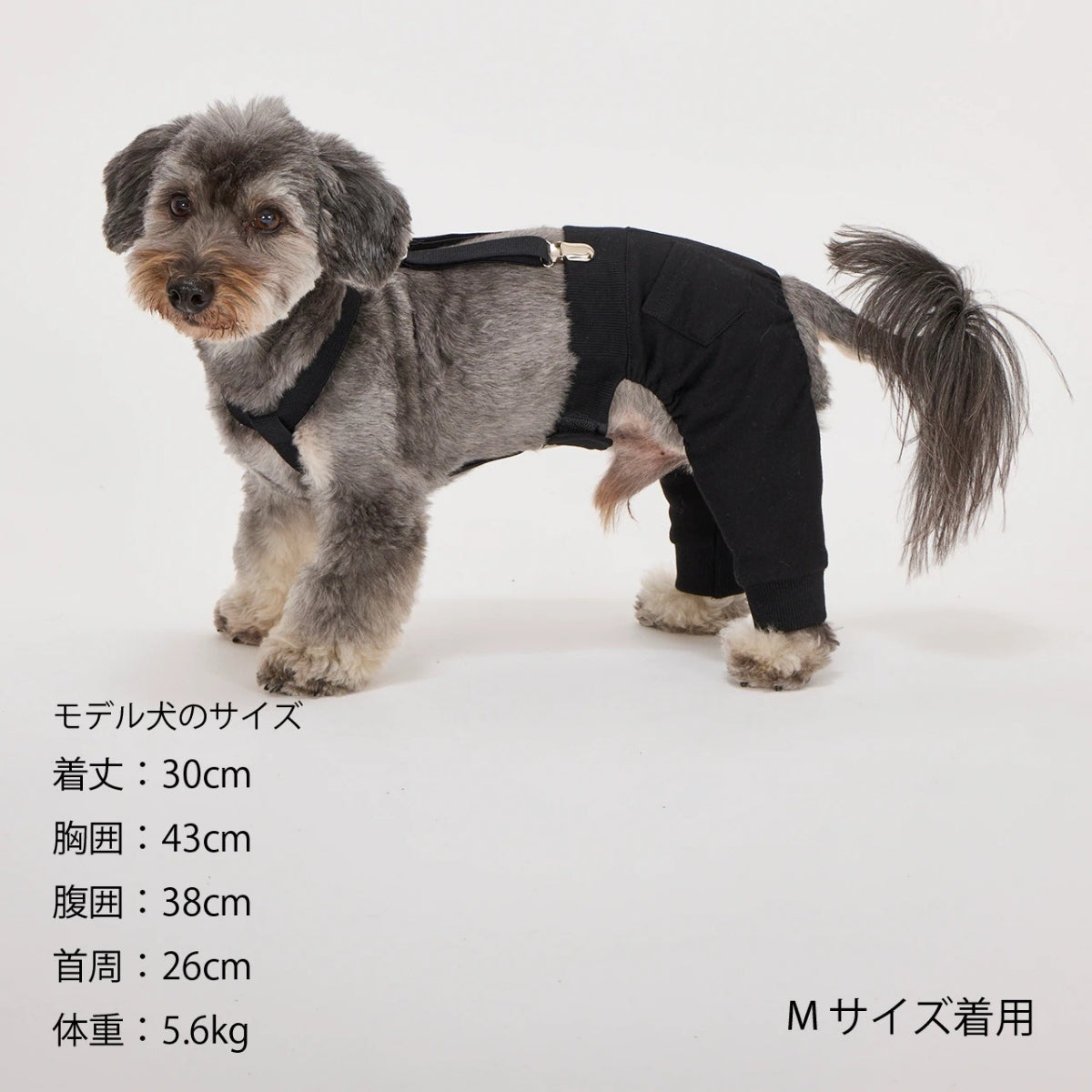 【MANDARINE BROTHERS マンダリンブラザーズ】MBサスペンダー MB Suspender