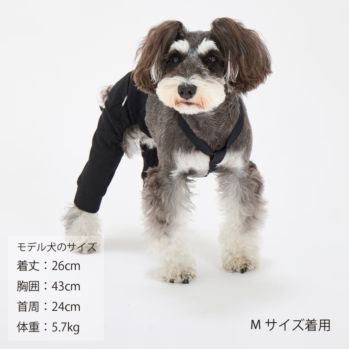 【MANDARINE BROTHERS マンダリンブラザーズ】MBサスペンダー MB Suspender