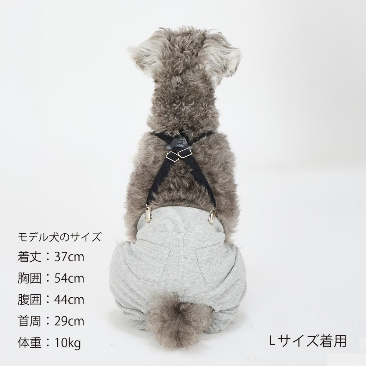 【MANDARINE BROTHERS マンダリンブラザーズ】MBサスペンダー MB Suspender