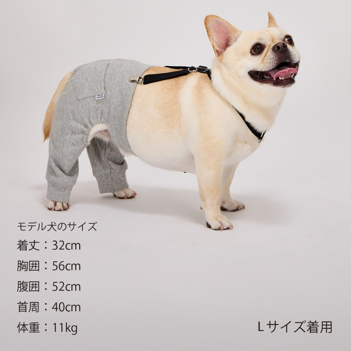 【MANDARINE BROTHERS マンダリンブラザーズ】MBサスペンダー MB Suspender