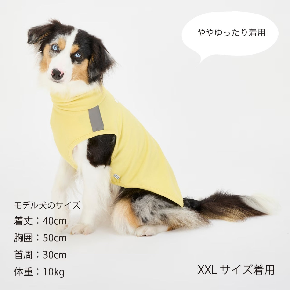【MANDARINE BROTHERS マンダリンブラザーズ】 モイストハイネックT MOIST HIGH NECK T