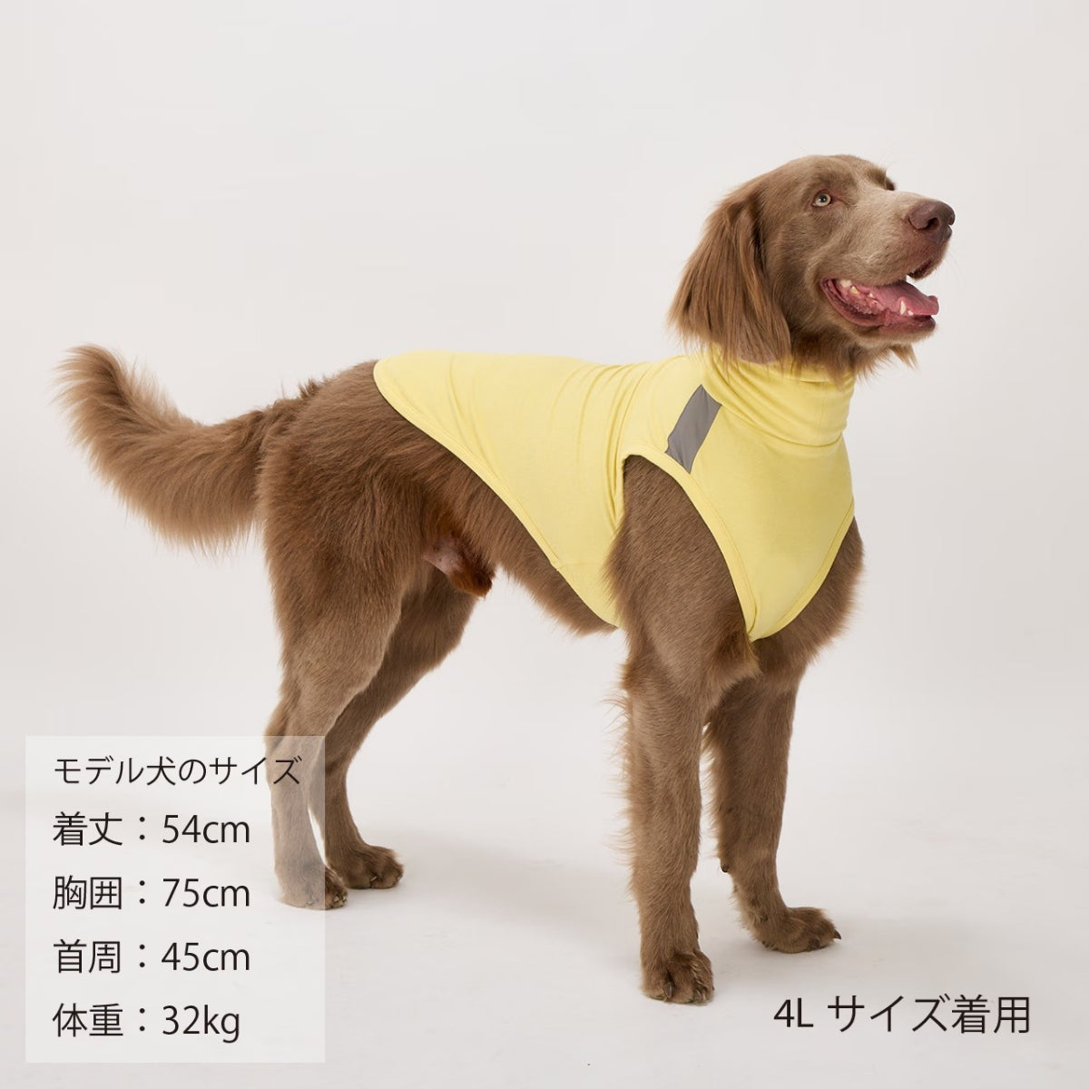 【MANDARINE BROTHERS マンダリンブラザーズ】 モイストハイネックT MOIST HIGH NECK T