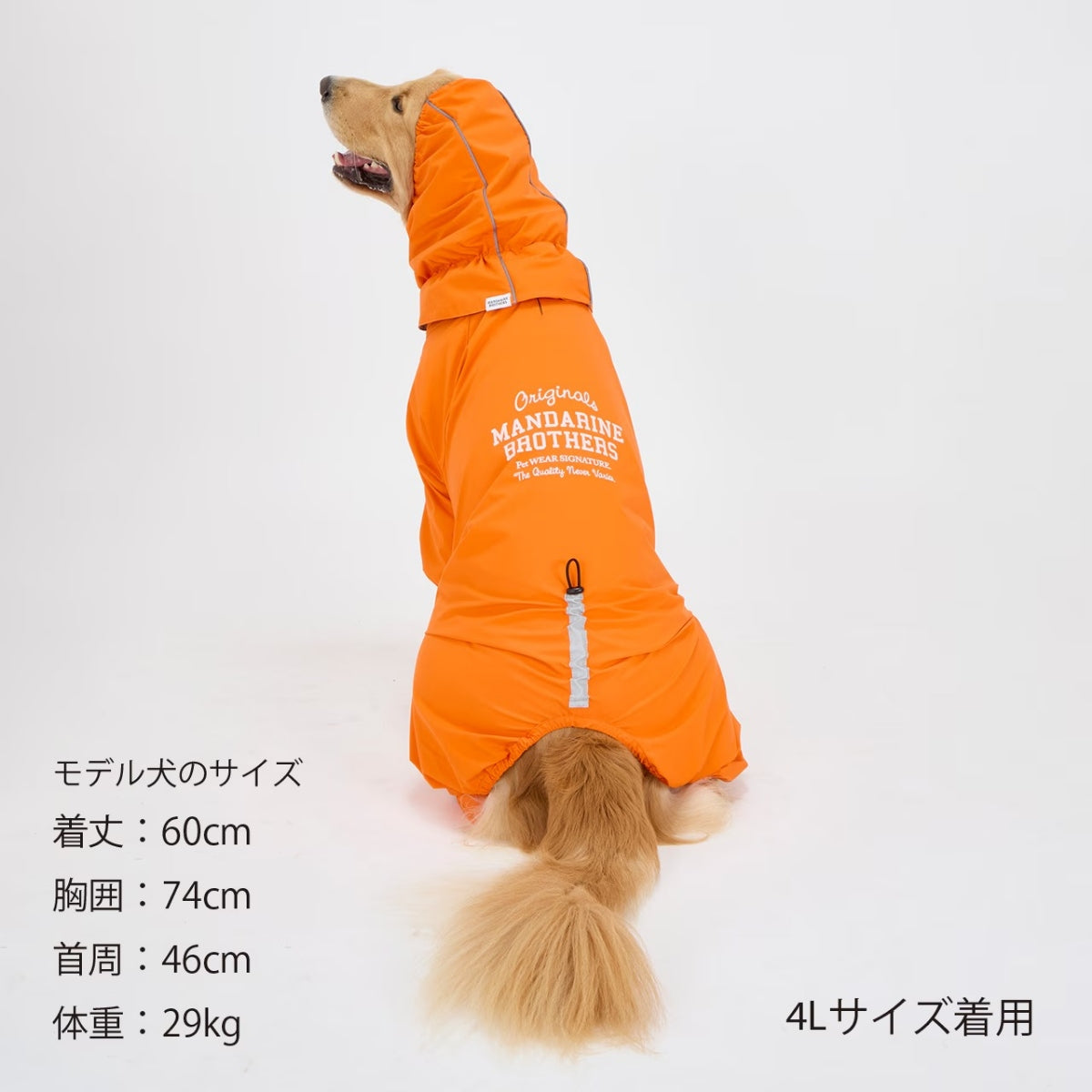 【MANDARINE BROTHERS マンダリンブラザーズ】レインスーツ RAIN SUIT