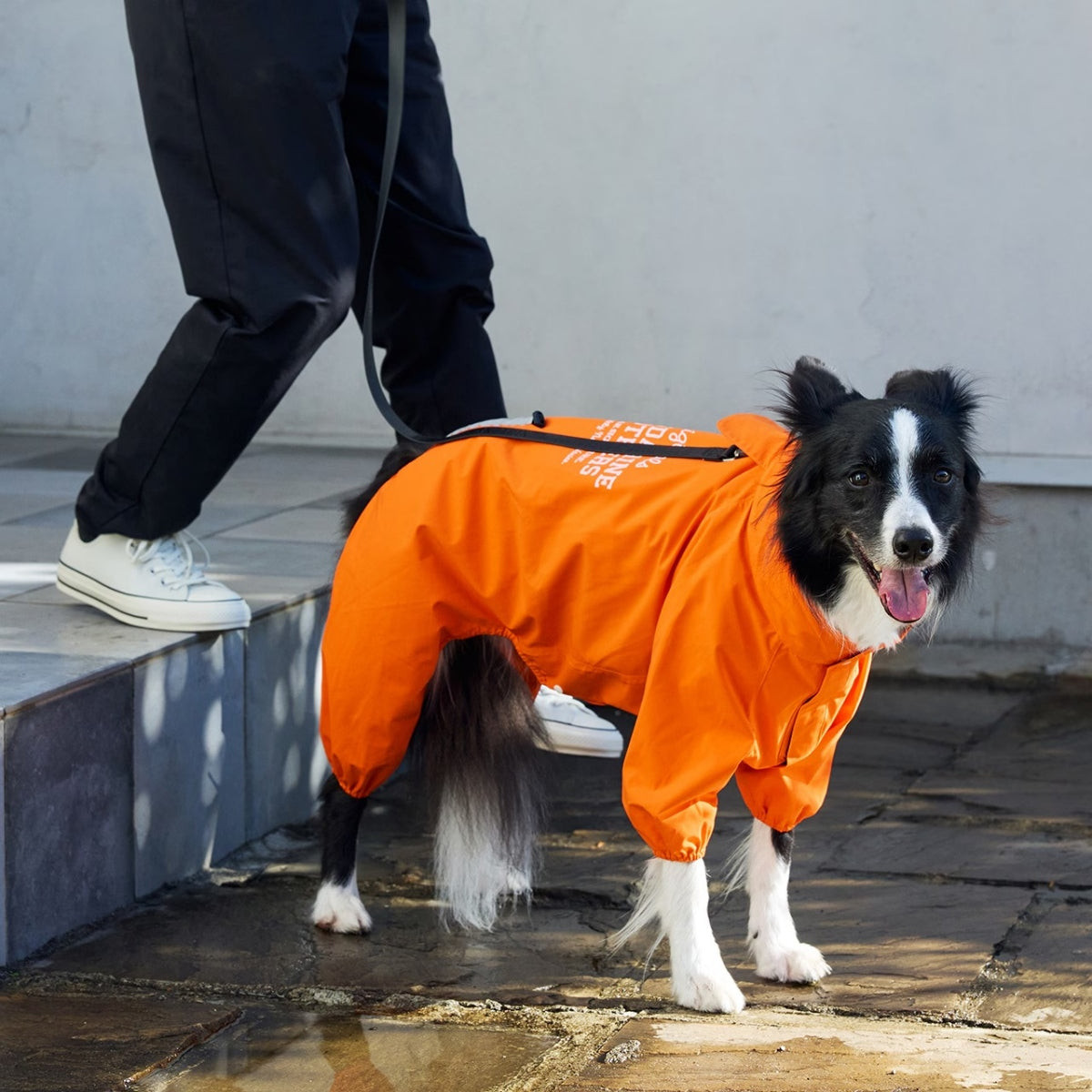 【MANDARINE BROTHERS マンダリンブラザーズ】レインスーツ RAIN SUIT