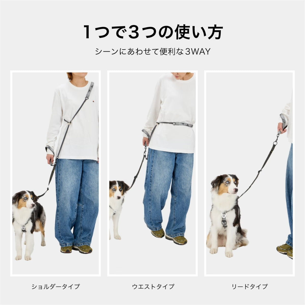 【MANDARINE BROTHERS マンダリンブラザーズ】リフレクティブハンズフリーリード Reflective Hands Free Leash
