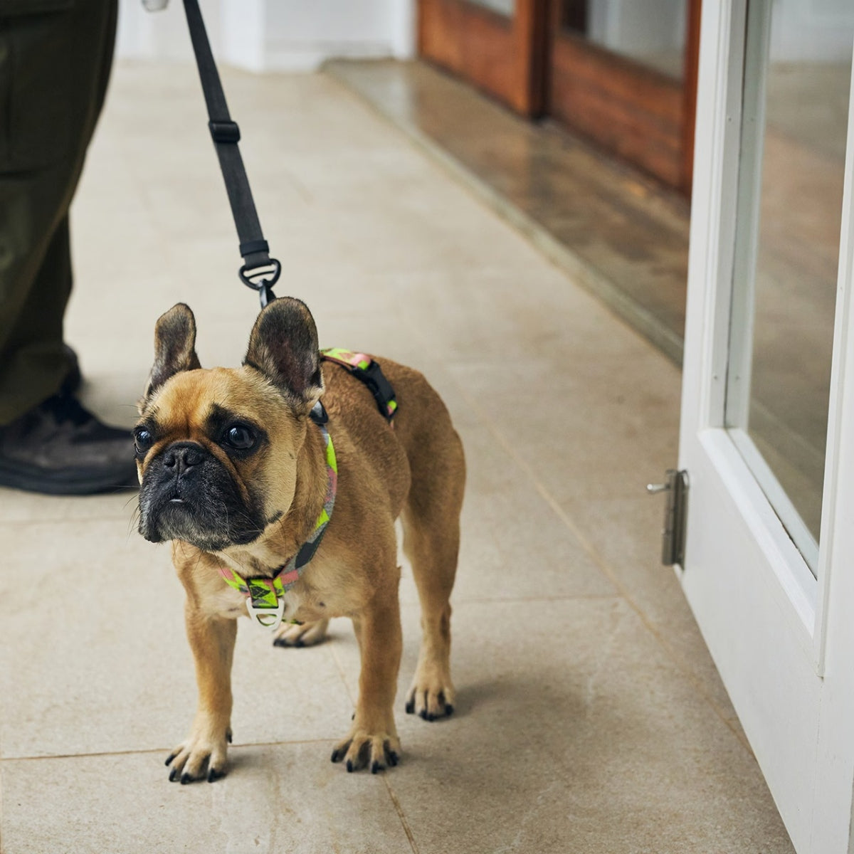 【MANDARINE BROTHERS マンダリンブラザーズ】リフレクティブハンズフリーリード Reflective Hands Free Leash
