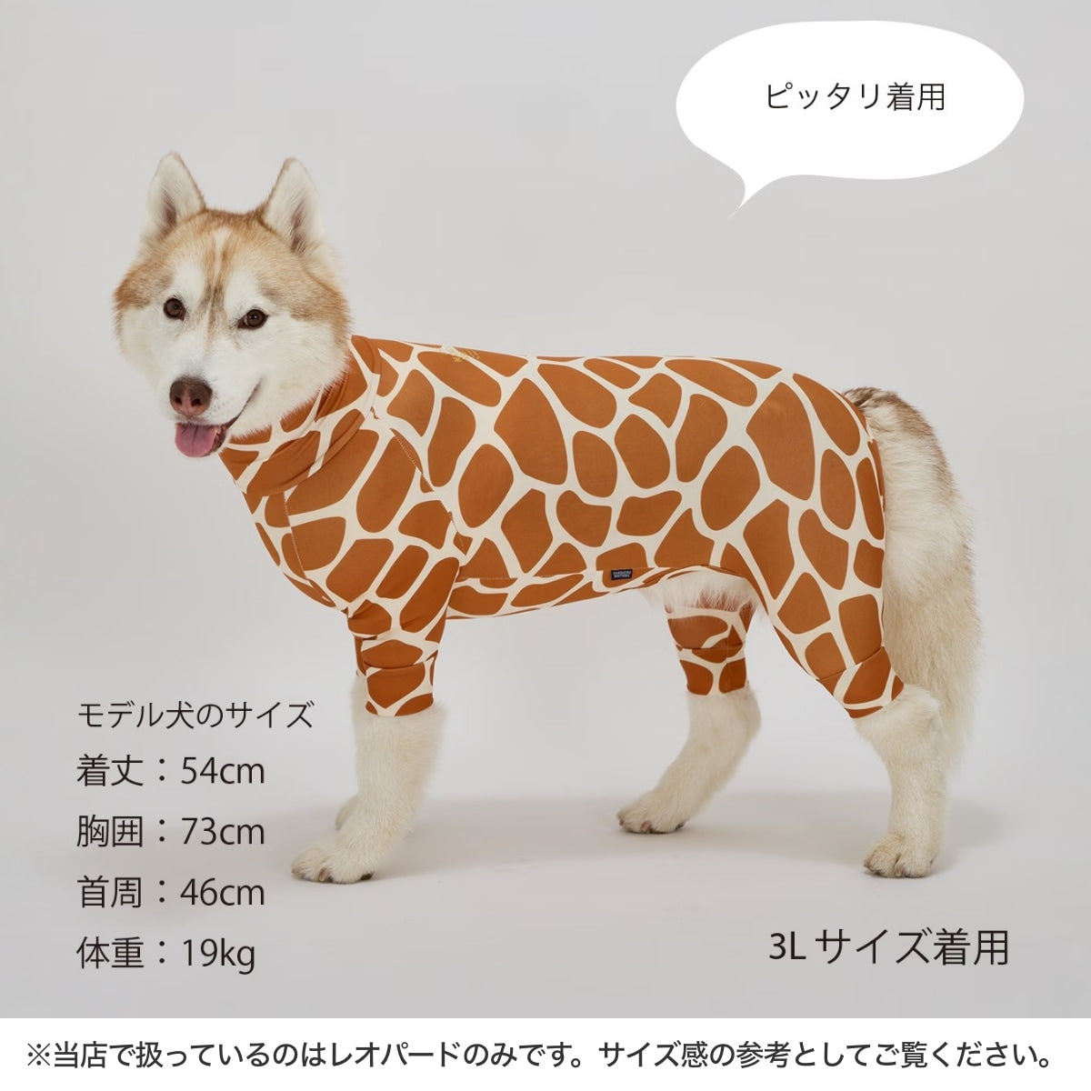 【MANDARINE BROTHERS マンダリンブラザーズ】 スキンタイトスーツマルチプリント SKIN TIGHT SUIT MULTI PRINT