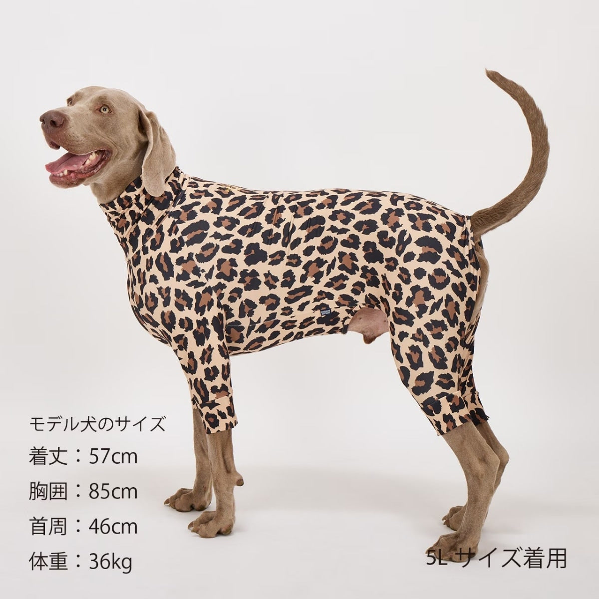 【MANDARINE BROTHERS マンダリンブラザーズ】 スキンタイトスーツマルチプリント SKIN TIGHT SUIT MULTI PRINT