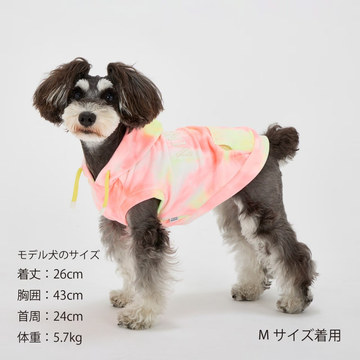 【MANDARINE BROTHERS マンダリンブラザーズ】タイダイフーディ TIE-DYE HOODIE