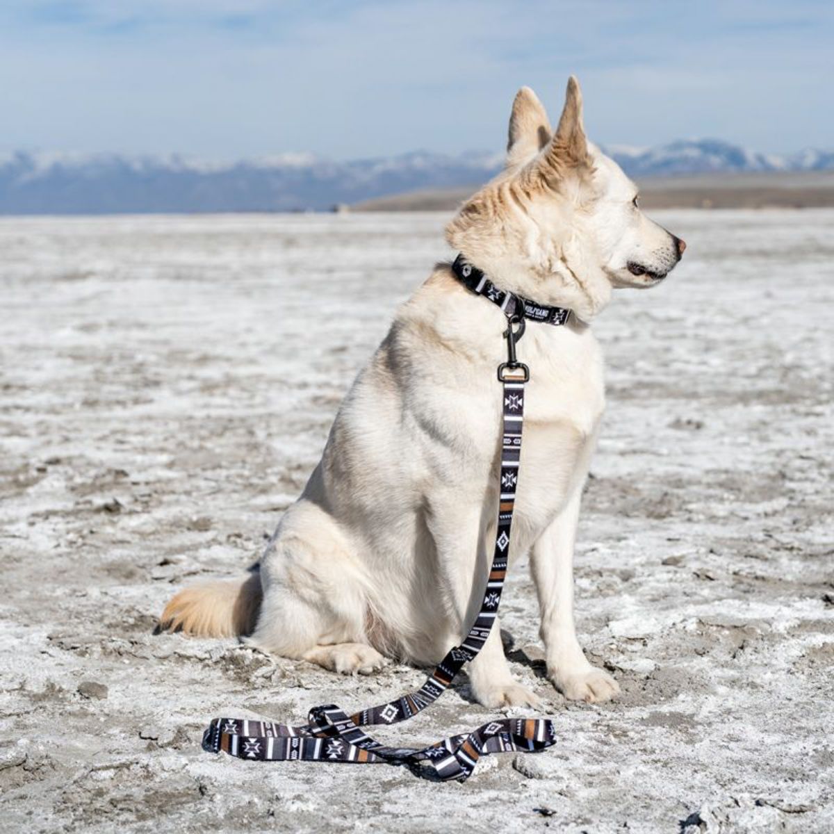 【WOLFGANG MAN & BEAST ウルフギャング マン＆ビースト】リード NewMoon Leash（S M L size 全長：122cm 183cm）