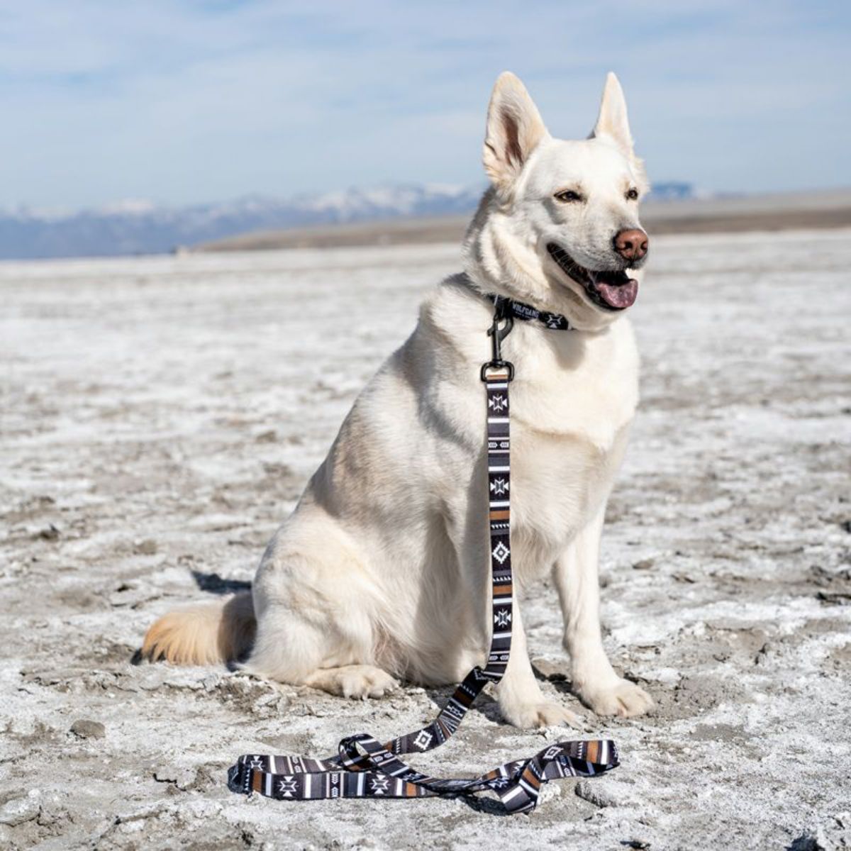 【WOLFGANG MAN & BEAST ウルフギャング マン＆ビースト】リード NewMoon Leash（S M L size 全長：122cm 183cm）