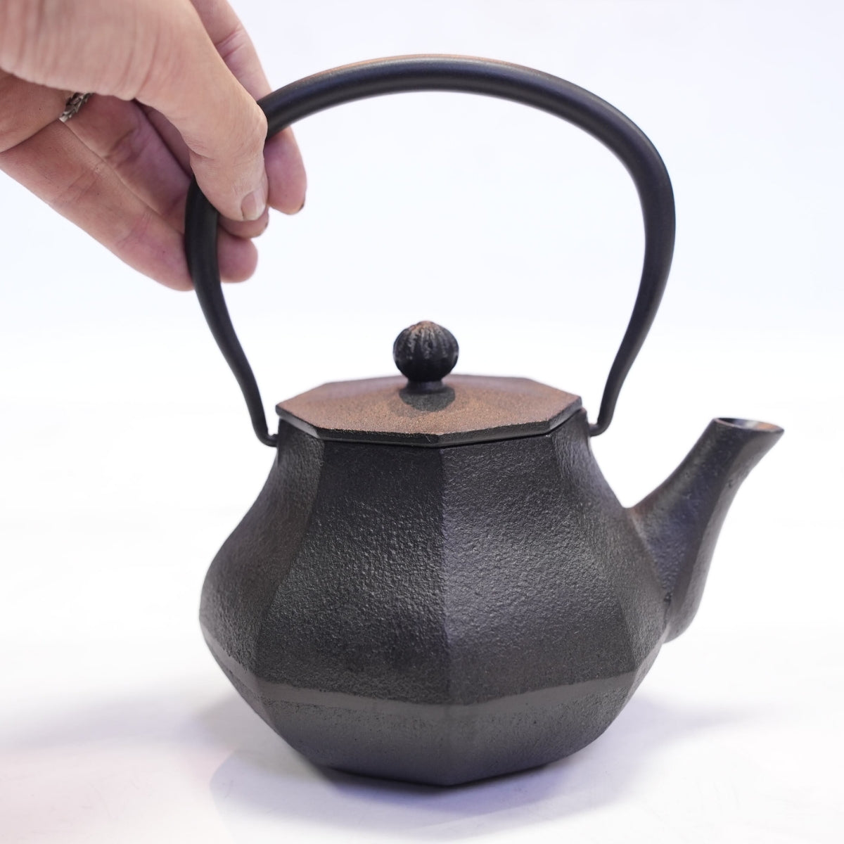 アンティーク鉄瓶 美術品・アンティーク・コレクション 整*屋様 鉄瓶