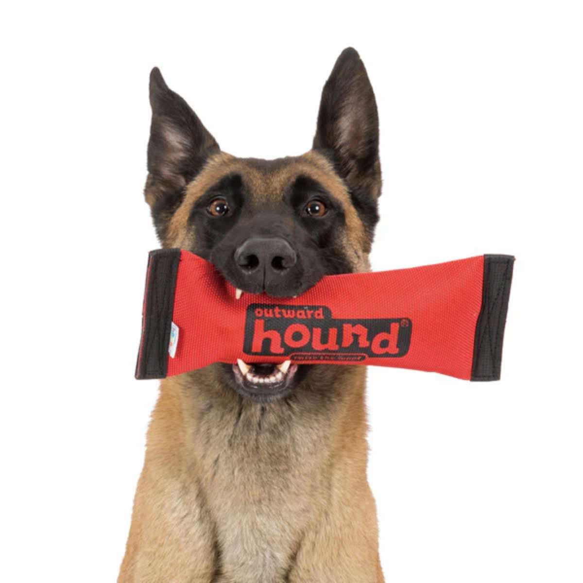 【Outward Hound】 ファイアーホース・スクイーク＆フェッチ S M L ブラッシュトイ