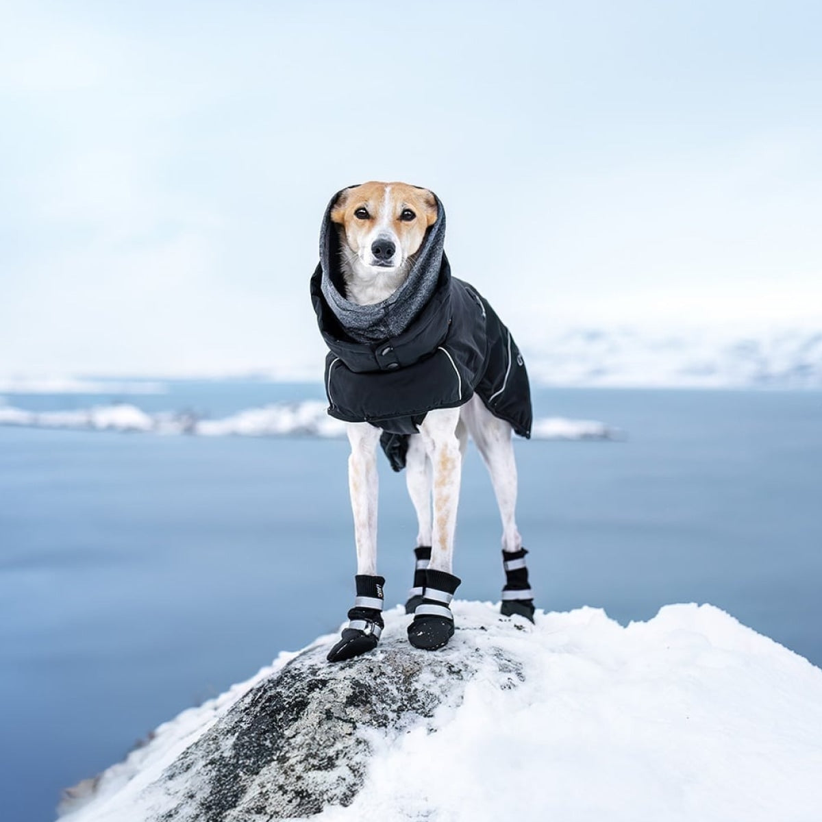 【Rukka Pets ルッカペット】サーマル ウィンター シューズ 4PCS/BAG 1-4サイズ THERMAL WINTER SHOES