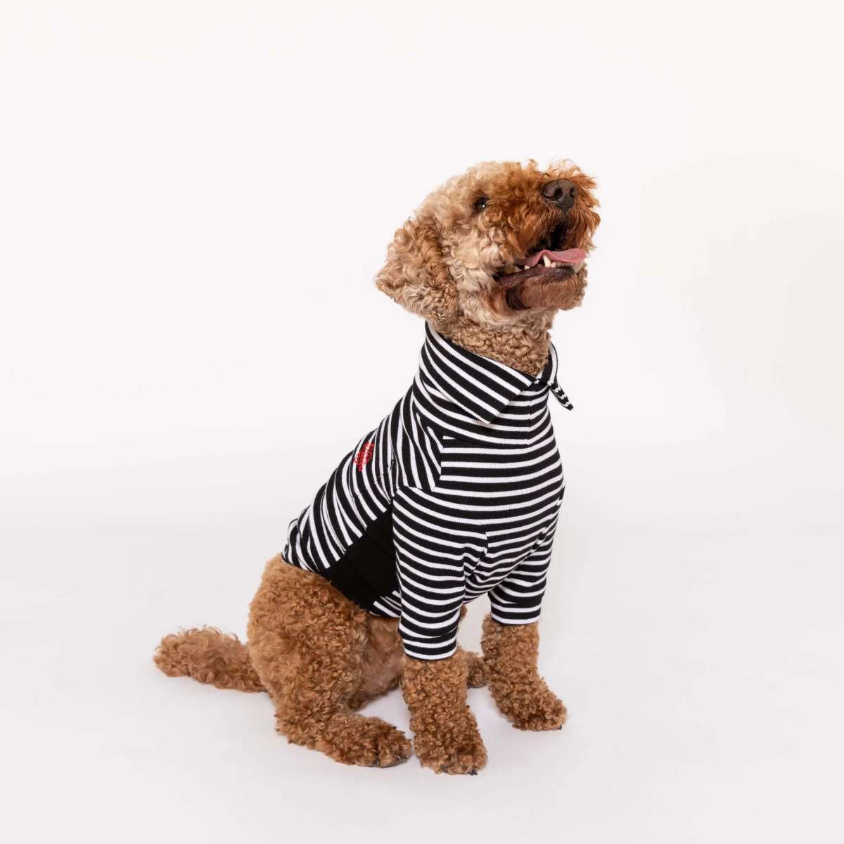【the furryfolks ザ・パリフォックス】Stripe Tee Black & White S M L XLサイズ ブラック＆ホワイト ストライプ