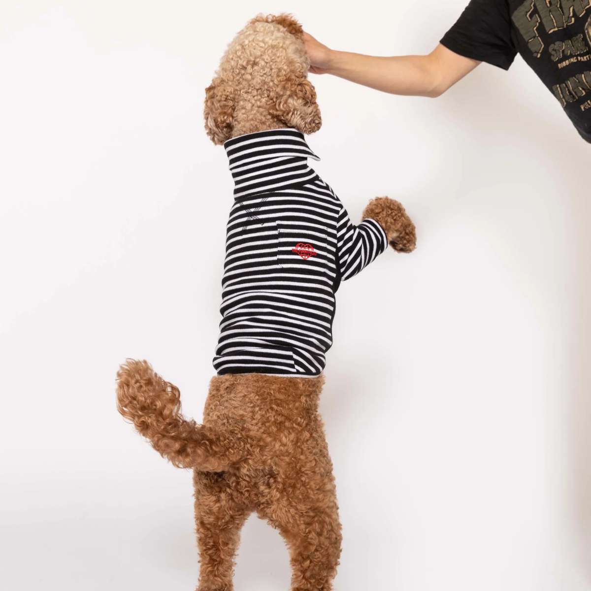 【the furryfolks ザ・パリフォックス】Stripe Tee Black & White S M L XLサイズ ブラック＆ホワイト ストライプ