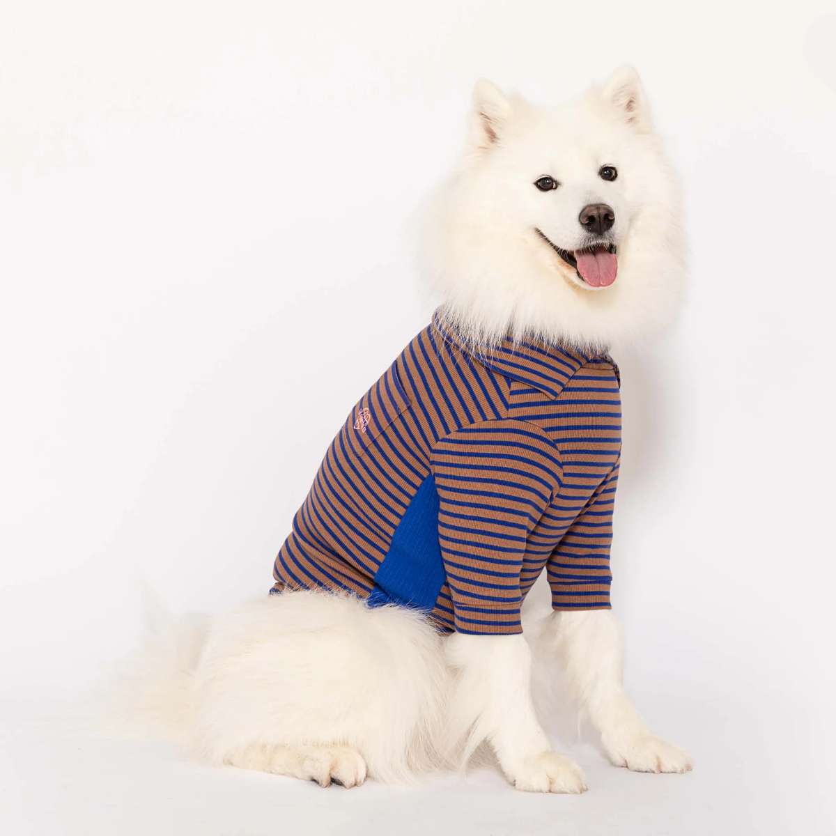 【the furryfolks ザ・パリフォックス】Stripe Tee Cobalt & Brown S M Lサイズ コバルト＆ブラウン ストライプ