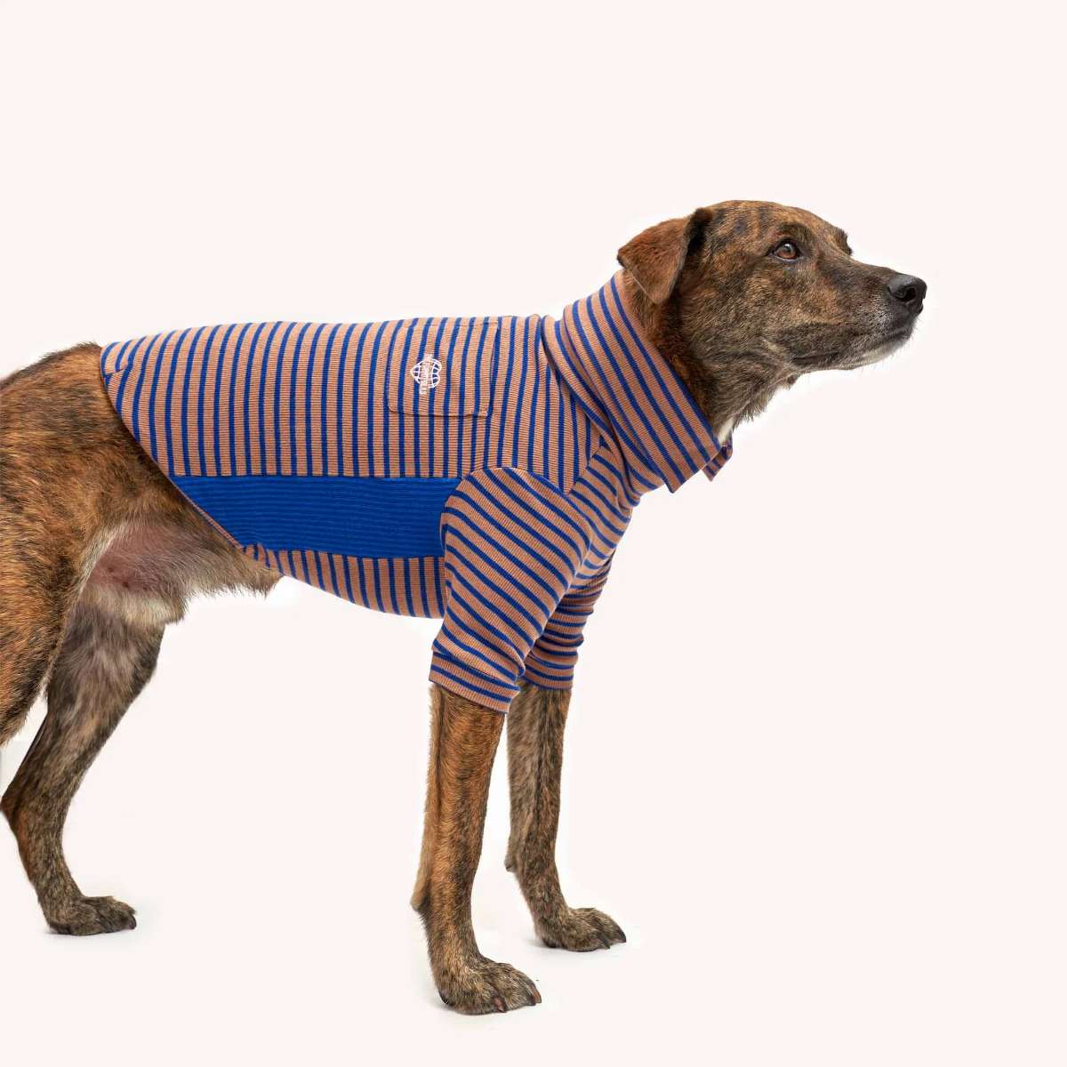【the furryfolks ザ・パリフォックス】Stripe Tee Cobalt & Brown S M Lサイズ コバルト＆ブラウン ストライプ