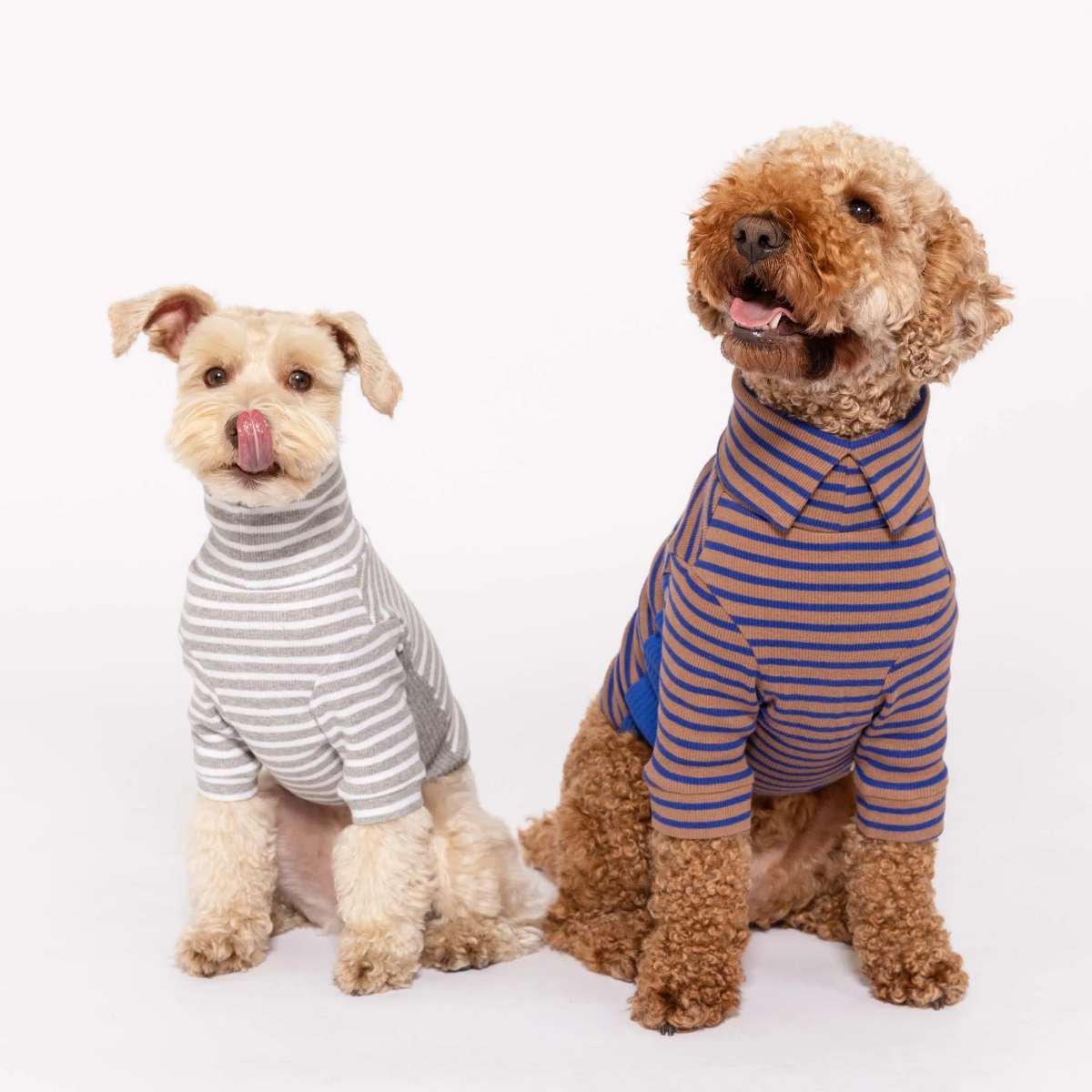 【the furryfolks ザ・パリフォックス】Stripe Tee Cobalt & Brown S M Lサイズ コバルト＆ブラウン ストライプ