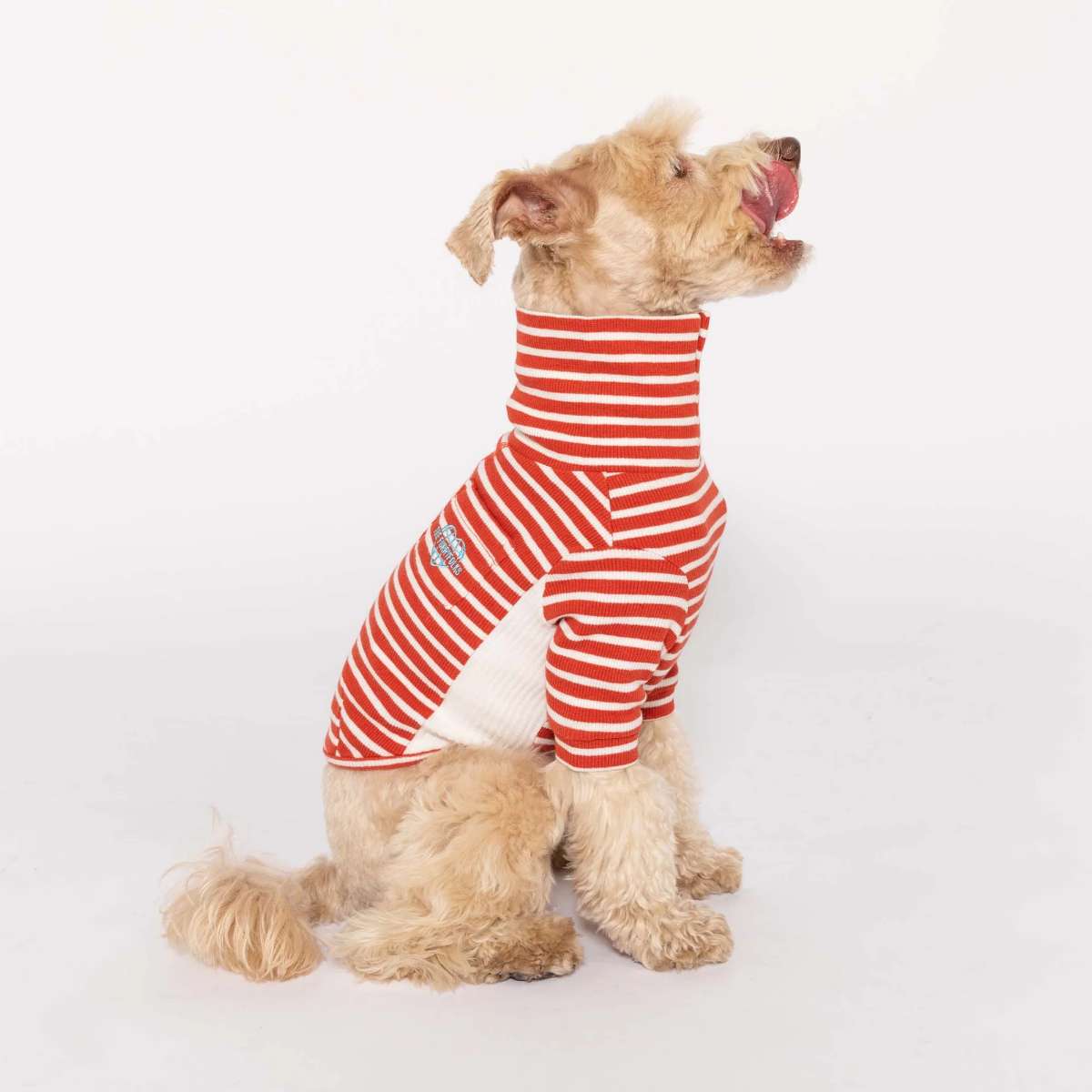 【the furryfolks ザ・パリフォックス】Stripe Tee Rust & Ivory S M L XLサイズ ラスト＆アイボリー ストライプ