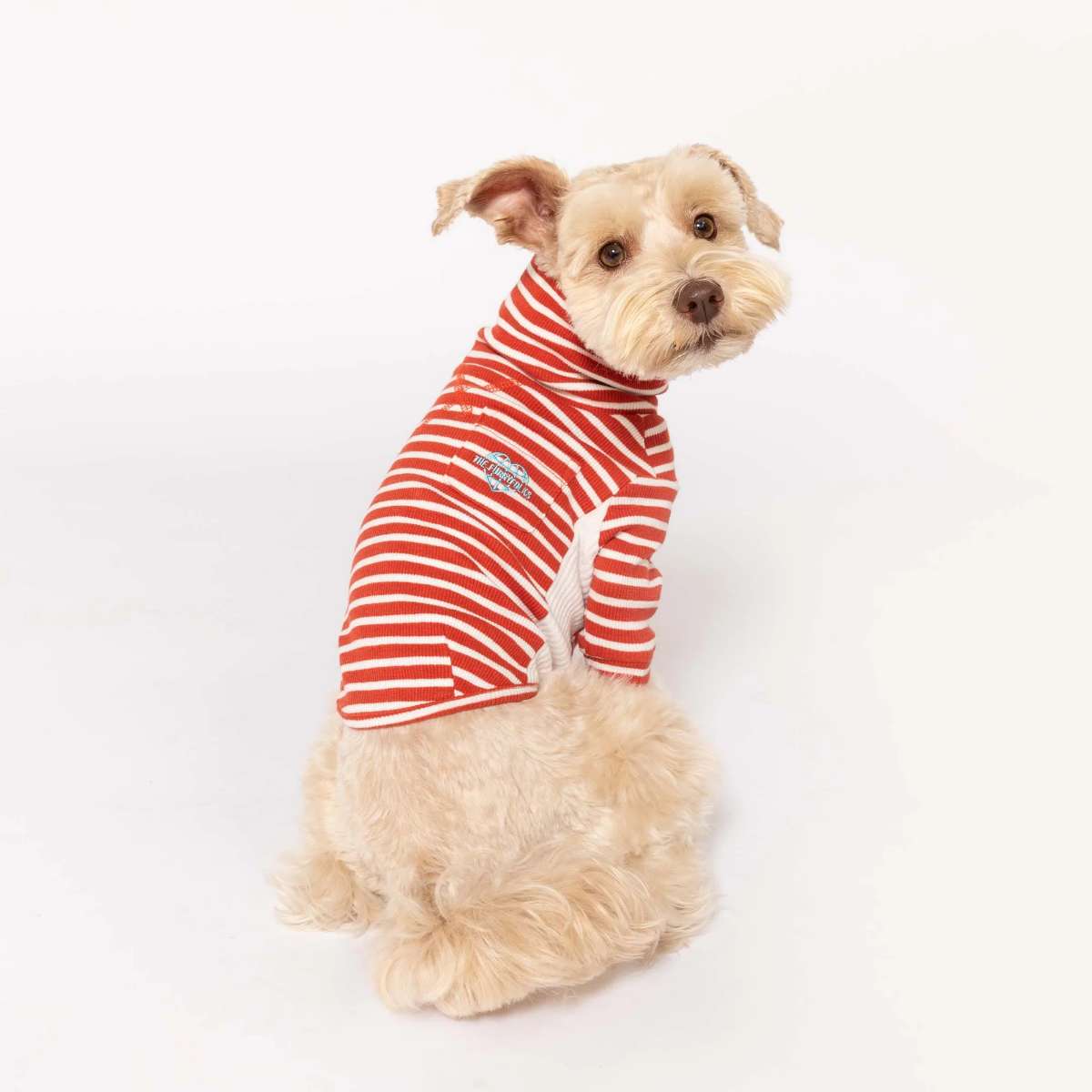 【the furryfolks ザ・パリフォックス】Stripe Tee Rust & Ivory S M L XLサイズ ラスト＆アイボリー ストライプ