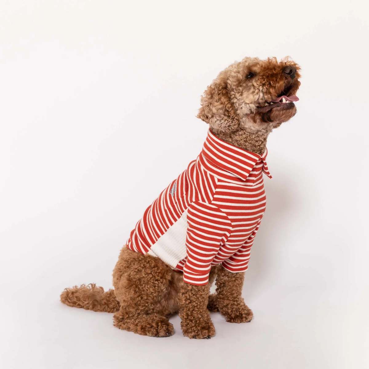 【the furryfolks ザ・パリフォックス】Stripe Tee Rust & Ivory S M L XLサイズ ラスト＆アイボリー ストライプ