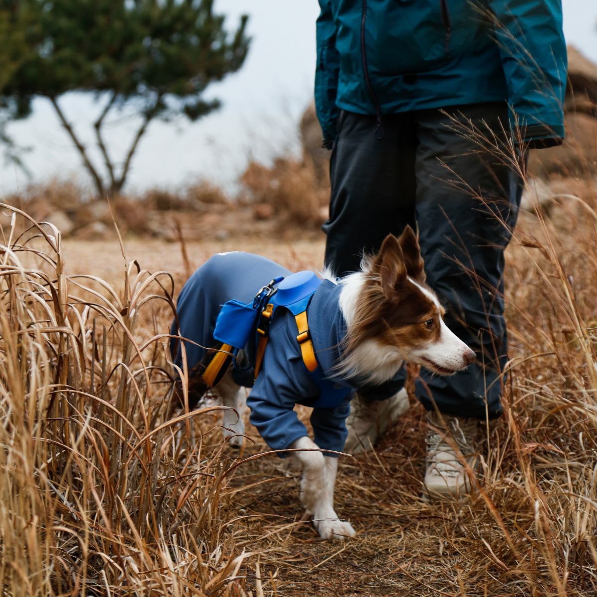 【TAILHIGH テールハイ】防虫アクティブスーツ Anti-Bug Active Suit S,SMサイズ