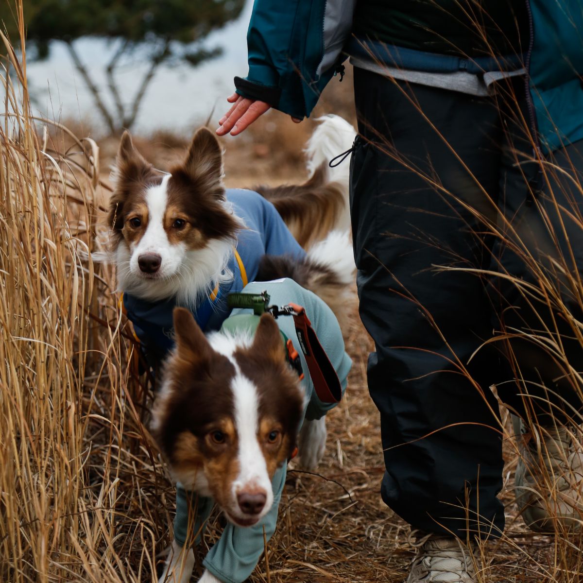 【TAILHIGH テールハイ】防虫アクティブスーツ Anti-Bug Active Suit S,SMサイズ