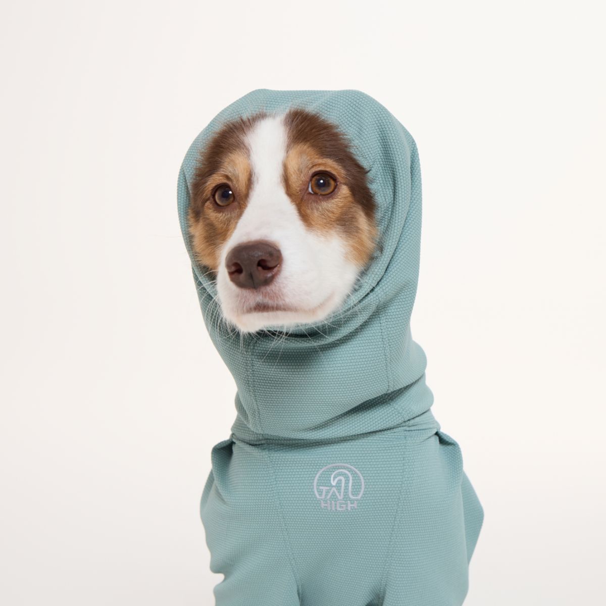 【TAILHIGH テールハイ】防虫アクティブスーツ Anti-Bug Active Suit S,SMサイズ