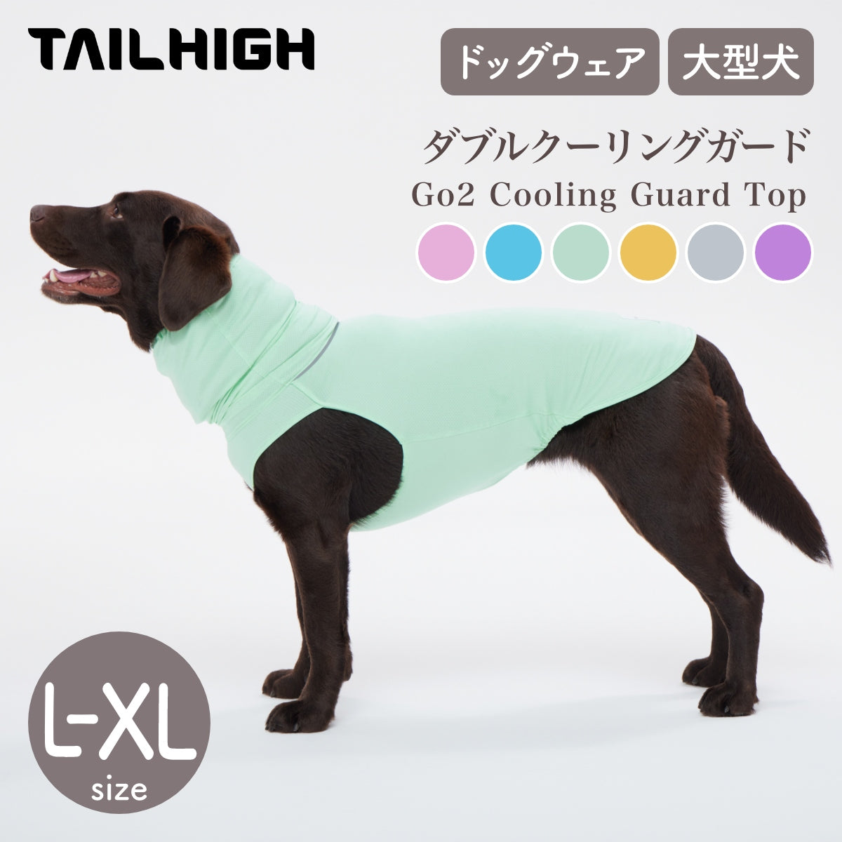 TAILHIGH テールハイ