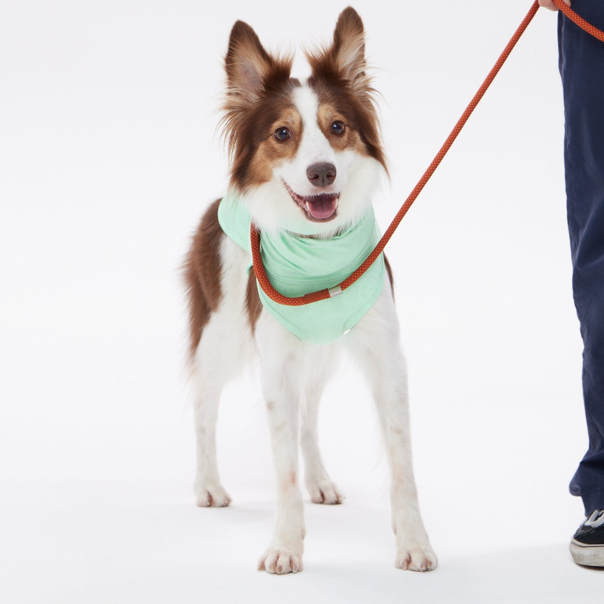 【TAILHIGH テールハイ】ダブルクーリングガード Go2 Cooling Guard Top S,SMサイズ