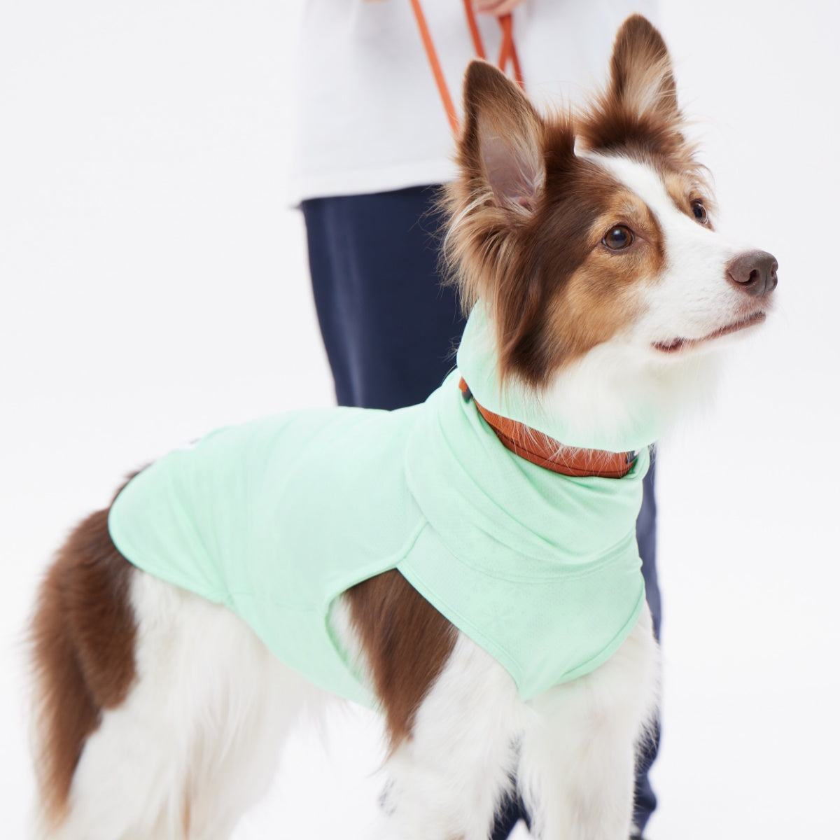 【TAILHIGH テールハイ】ダブルクーリングガード Go2 Cooling Guard Top S,SMサイズ