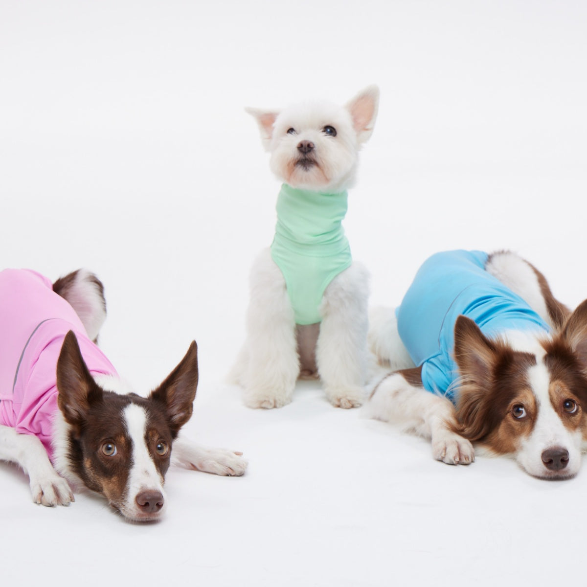 TAILHIGH テールハイ】ダブルクーリングガード Go2 Cooling Guard Top