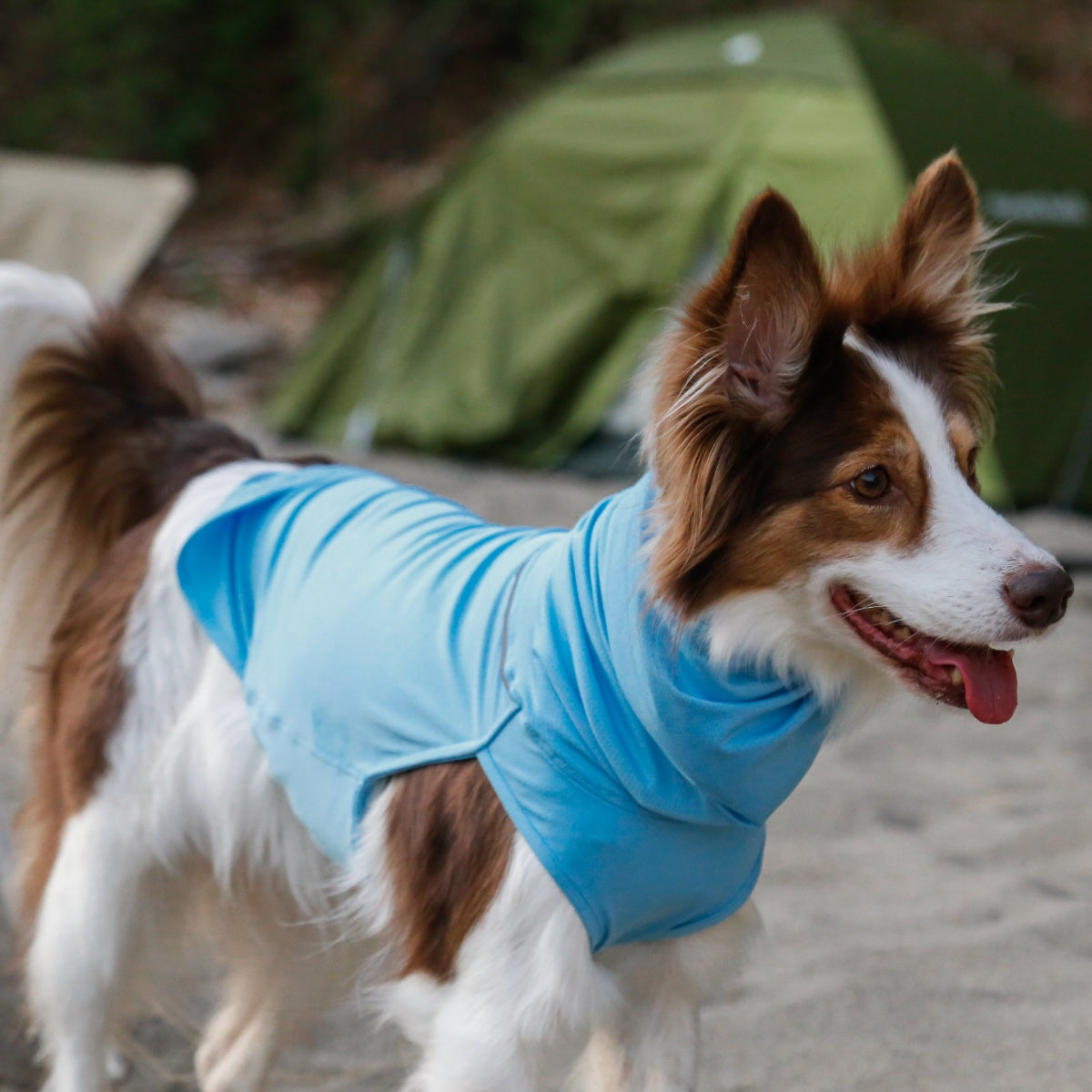 TAILHIGH テールハイ】ダブルクーリングガード Go2 Cooling Guard Top