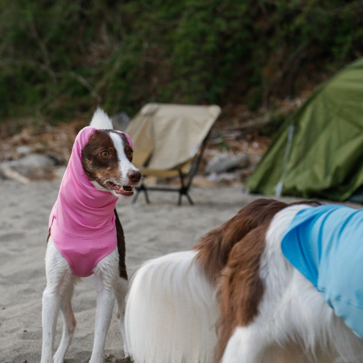 【TAILHIGH テールハイ】ダブルクーリングガード Go2 Cooling Guard Top S,SMサイズ