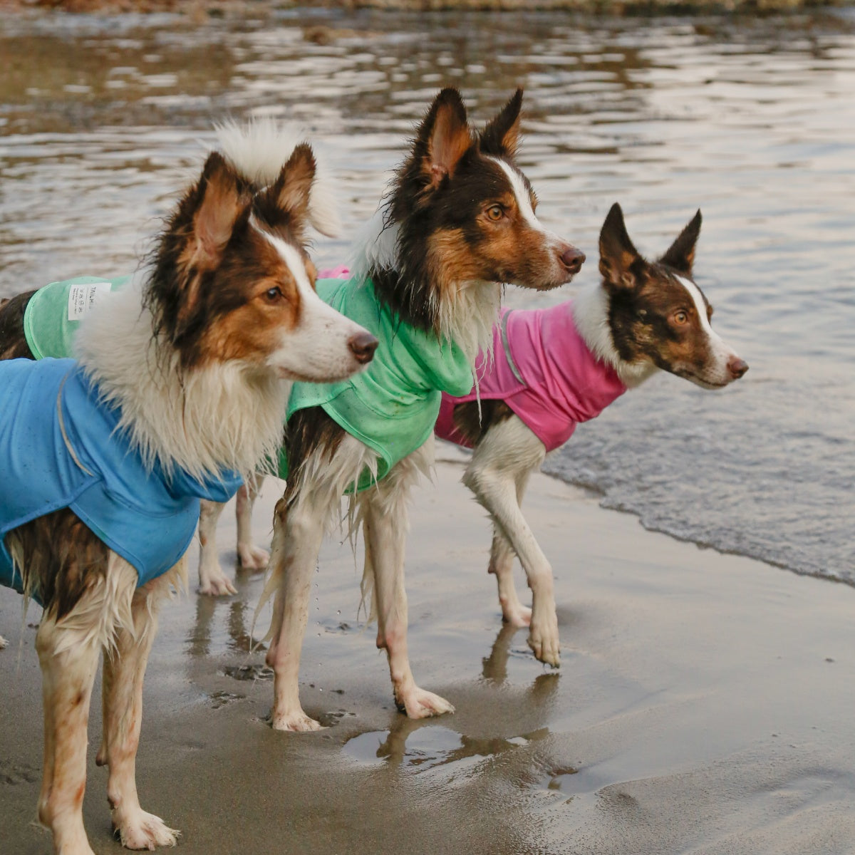 【TAILHIGH テールハイ】ダブルクーリングガード Go2 Cooling Guard Top S,SMサイズ