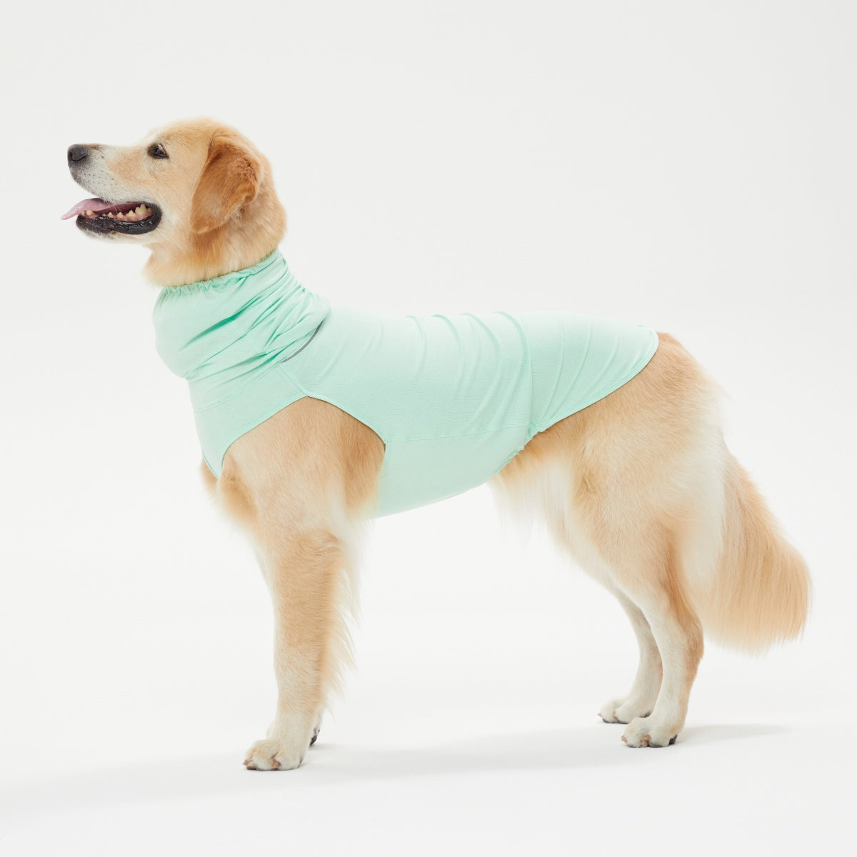 【TAILHIGH テールハイ】ダブルクーリングガード Go2 Cooling Guard Top L,XLサイズ